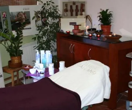 Saraya Wellness & Gæstehus Teplice