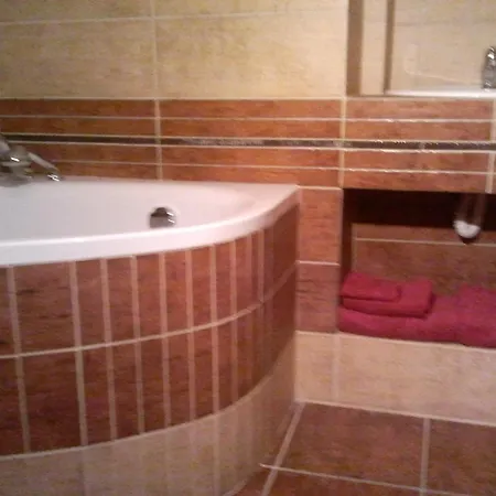 Saraya Wellness & 3* Teplice