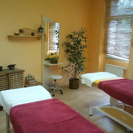 Saraya Wellness & 3* Teplice