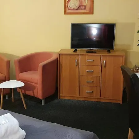 Saraya Wellness & Guest house Teplice