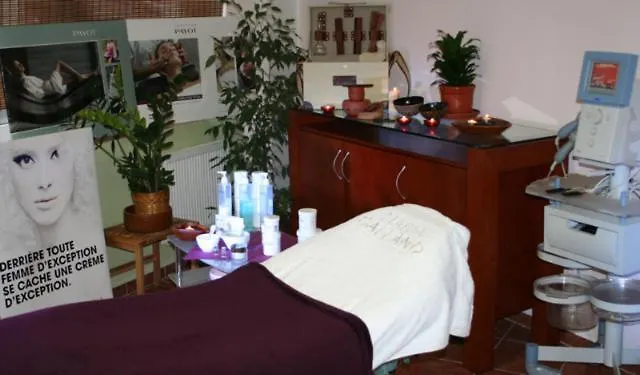 Saraya Wellness & 게스트하우스 테플리체