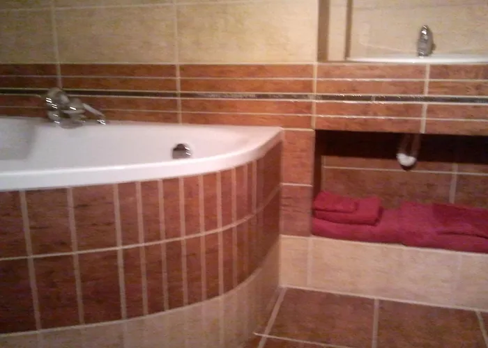 Saraya Wellness & 3* 테플리체