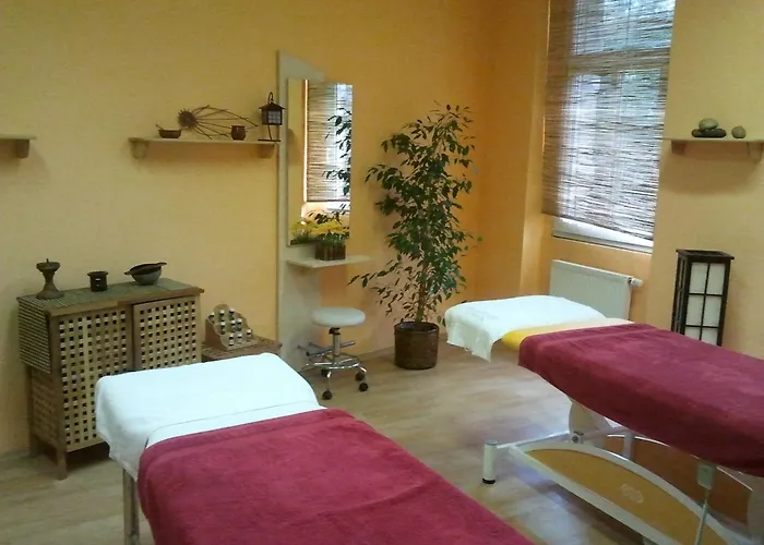 Saraya Wellness & 3* 테플리체